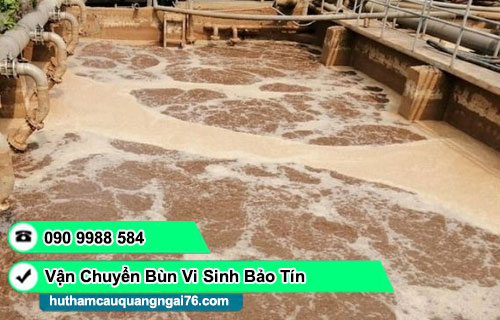 hút vận chuyển bùn vi sinh xã Cà Đam