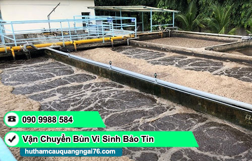 hút vận chuyển bùn vi sinh xã Thanh Bồng